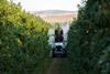 Prospr-spraying-in-an-apple-orchard