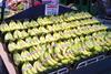 UGPBAN bananas