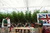 Cornerways Nursery British Tomato Week 2015