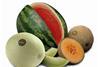 Del Monte melons