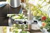 Robotic strawberry harvester Adobe Stock