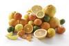 Citrus fights for basket space at challenging time of year