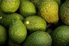 avocados-882635_1920(1)