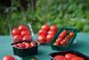 Sharp Interpack has produced a number of packaging solution for the UK market, which are likely to have appealed to Guillin