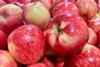 US apples AdobeStock_1174633314