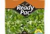 Ready Pac kale blend