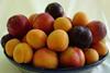 Bowl of SA stonefruit