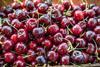GEN cherries AdobeStock_165027044