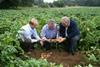 Pictured from left to right are Asda buyer Drew Kirk, Mark Taylor from Agrimarc, grower Tony Spencer, in a field of Up to Date