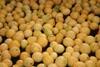 Lemons at MTEX's Ashqelon packhouse earlier this week