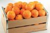 Florida citrus crate