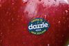 Dazzle