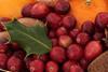 US cranberries