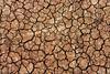 Cracked, drying soil detail_3453740