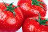 Generic tomatoes