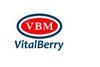 Vital Berry Marketing