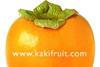 Spain Valencia kaki persimmon