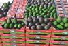 Westfalia avocado products