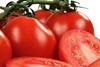 Intense tomato