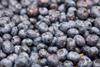 009Fruit_Logistika_08.jpg