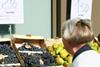 France consumption