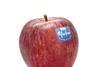 „Ich bin Marlene®“: Neuer Markenauftritt der Äpfel aus Südtirol