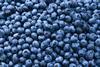 Blueberries Adobe Stock