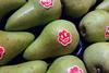 NL Migo pears