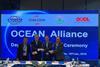Ocean Alliance OA Day 3