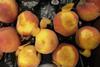 Heavily bruised and rotten peaches were offered for sale at the Essex store