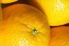 Brasilien prognostiziert starken Rückgang bei Orangen
