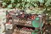 Moldova Fruct cherries