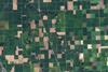 Farms from space