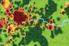 Nielsen heat map