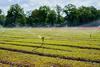 25-10-16-klimaplattform-ogk
