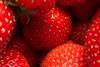 GEN strawberries