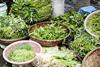 GEN vegetable asia asian green spinach market