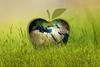 nachhaltigkeit-sustainability-Gerd Altmann-pixabay-2023-3295824