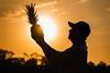 Dole Colada Royale - Roberto Young with Fruit at Sunset