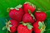East Malling scientists at Beijing strawberry symposium