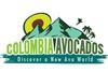Colombian avo logo