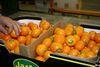 Israel set for citrus boom