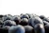 Argentinean blueberries maintain performance