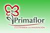 Primaflor logo
