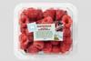Perfection Fresh - raspberries