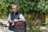 Rijk Zwaan ToBRFV general pic tomatoes