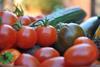 tomate Almería