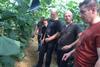 Dutch cucumber growers Almeria