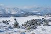 Murcia snow