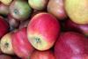 NL apples Jumbo Foodmarkt